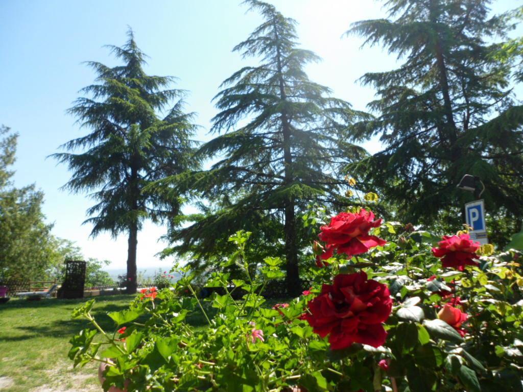 Farm stay Agriturismo La Quiete